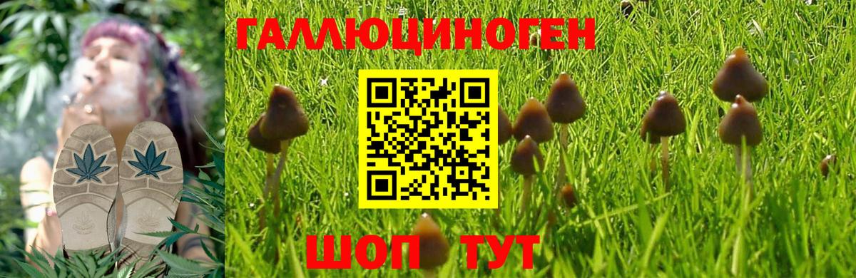 Галлюциногенные грибы MAGIC MUSHROOMS  Галлюциногенные грибы мицелий  Советская Гавань  Вход с VPN 